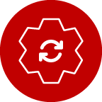 Rapid Integration