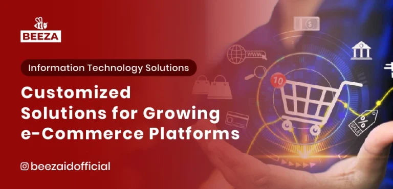 Blogs 3 Customized Solutions for Growing E-Commerce Platforms